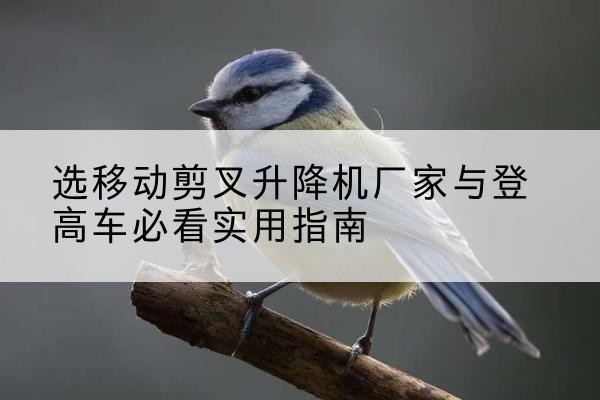 黑龙江电动升降机厂家-选移动剪叉升降机厂家与登高车必看实用指南