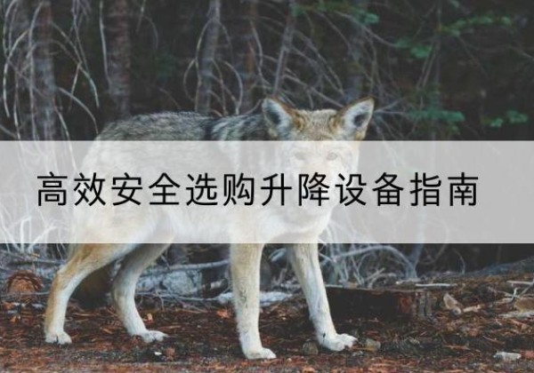 黑龙江升降货梯厂家推荐-*安全选购升降设备指南
